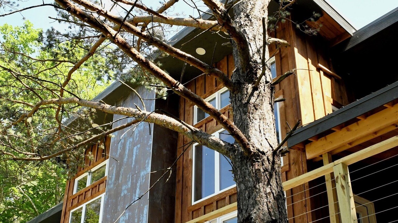 Photo of Outdoor in South Otselic