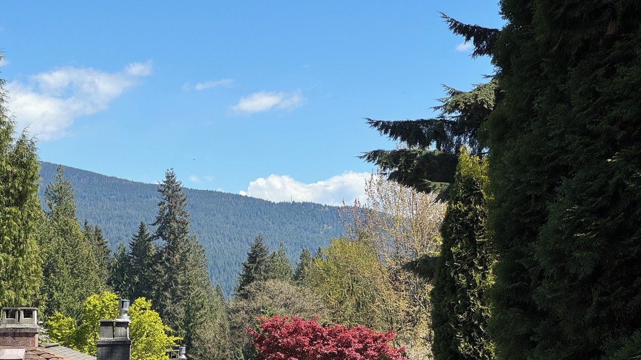Photo of Others in Lynn Valley