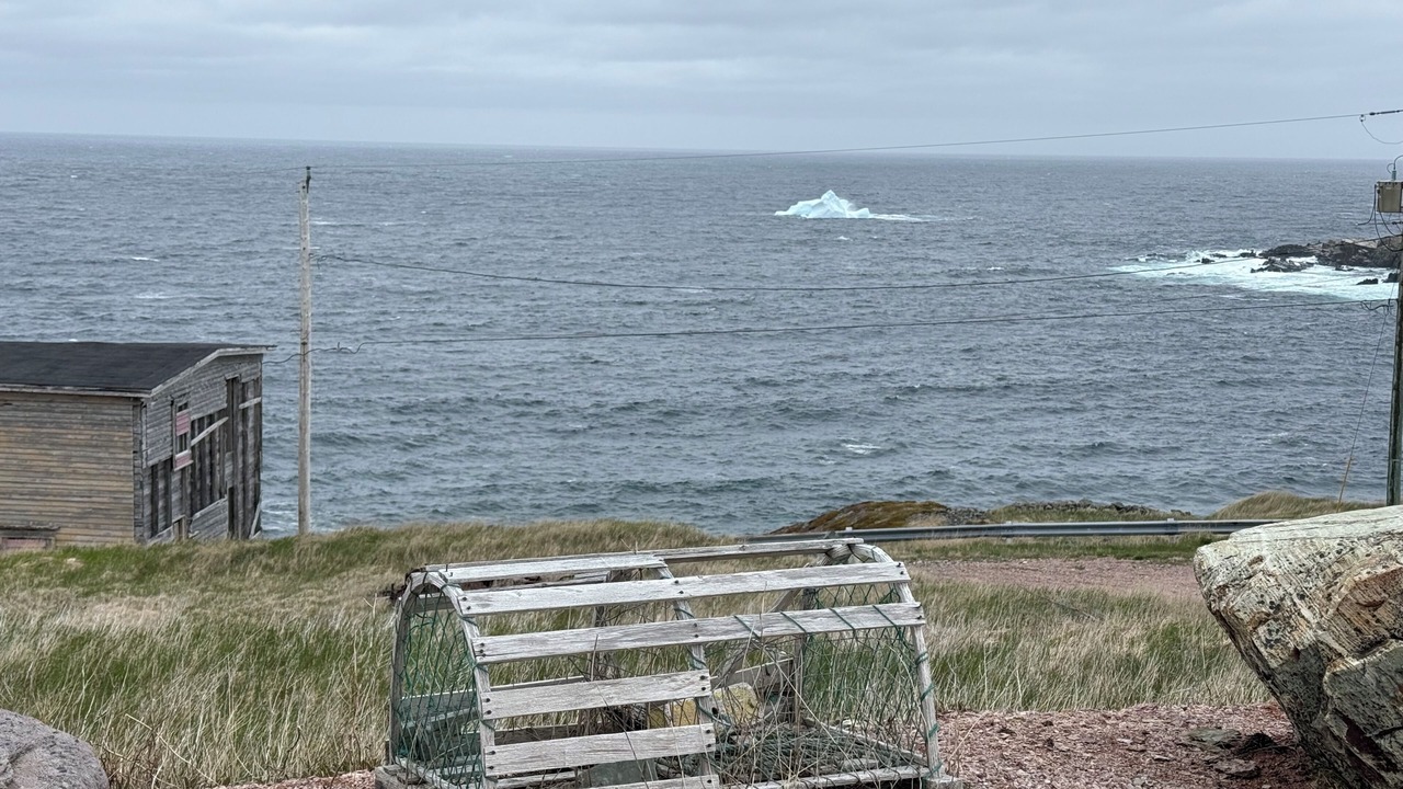 Photo of Others in Grates Cove