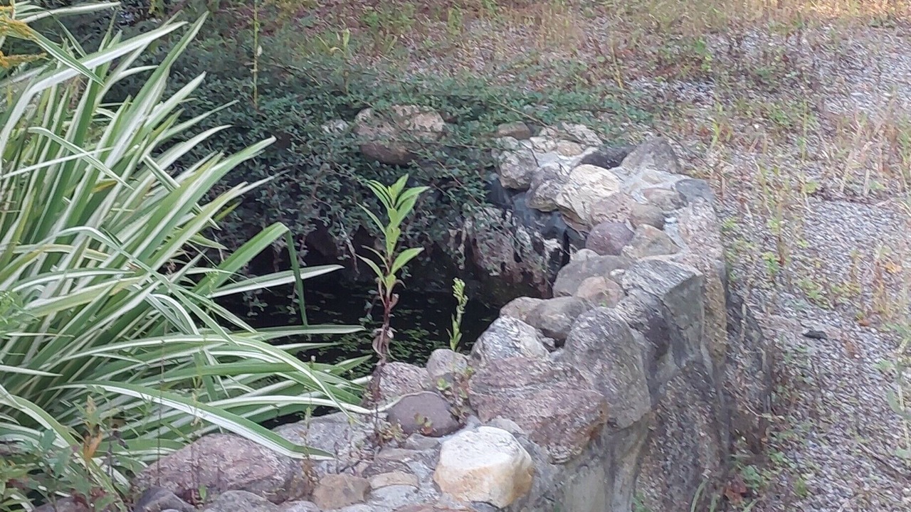 Photo of Outdoor in Wales Center