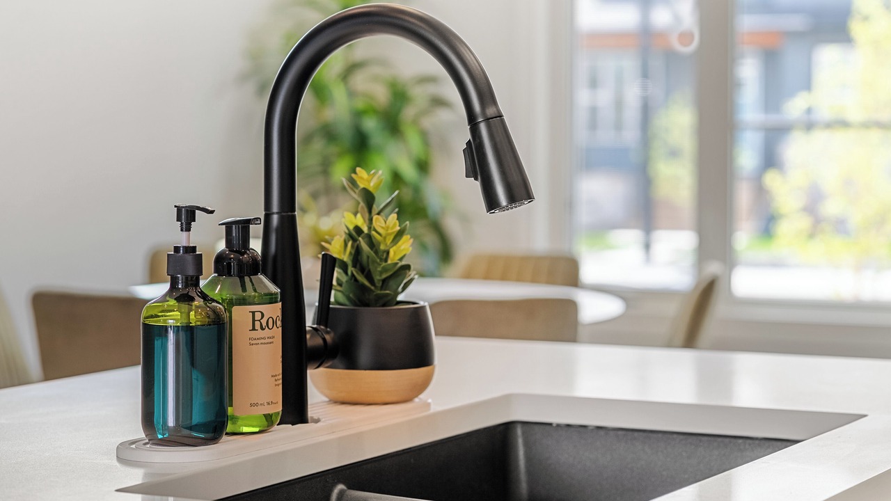 Photo of Others in Evanston