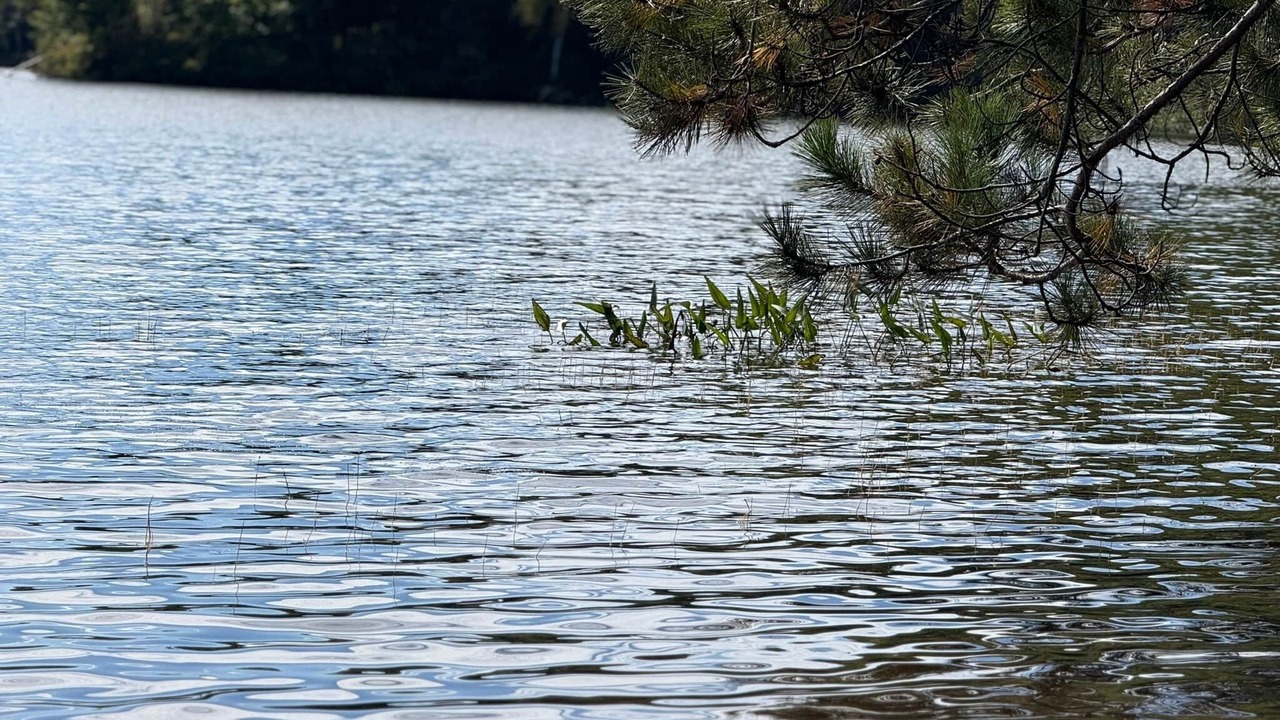 Photo of Others in Mandeville