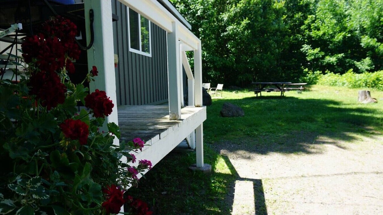 Photo of Outdoor in Dorset