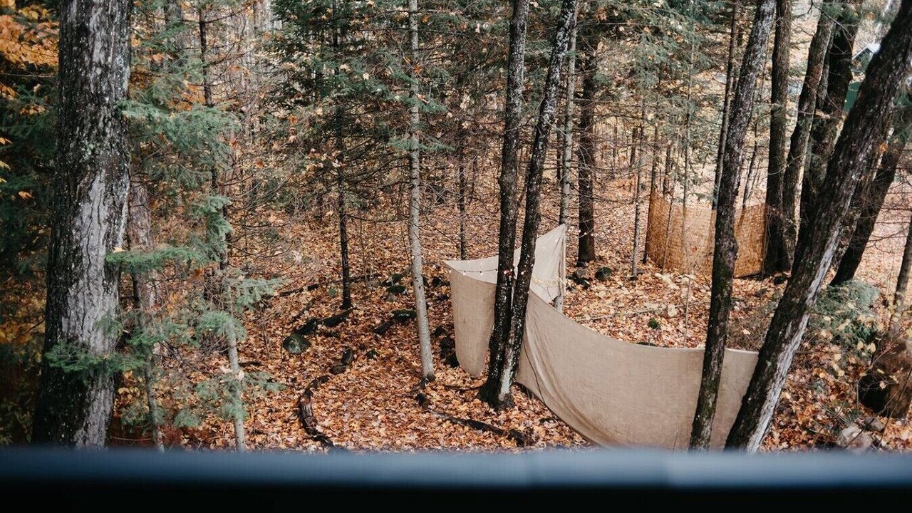 Photo of Outdoor in Dorset