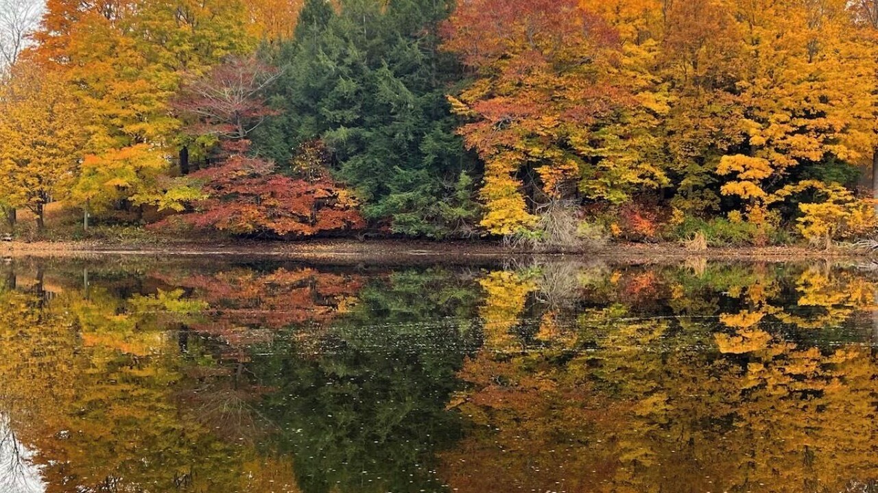 Photo of Others in Wolcott