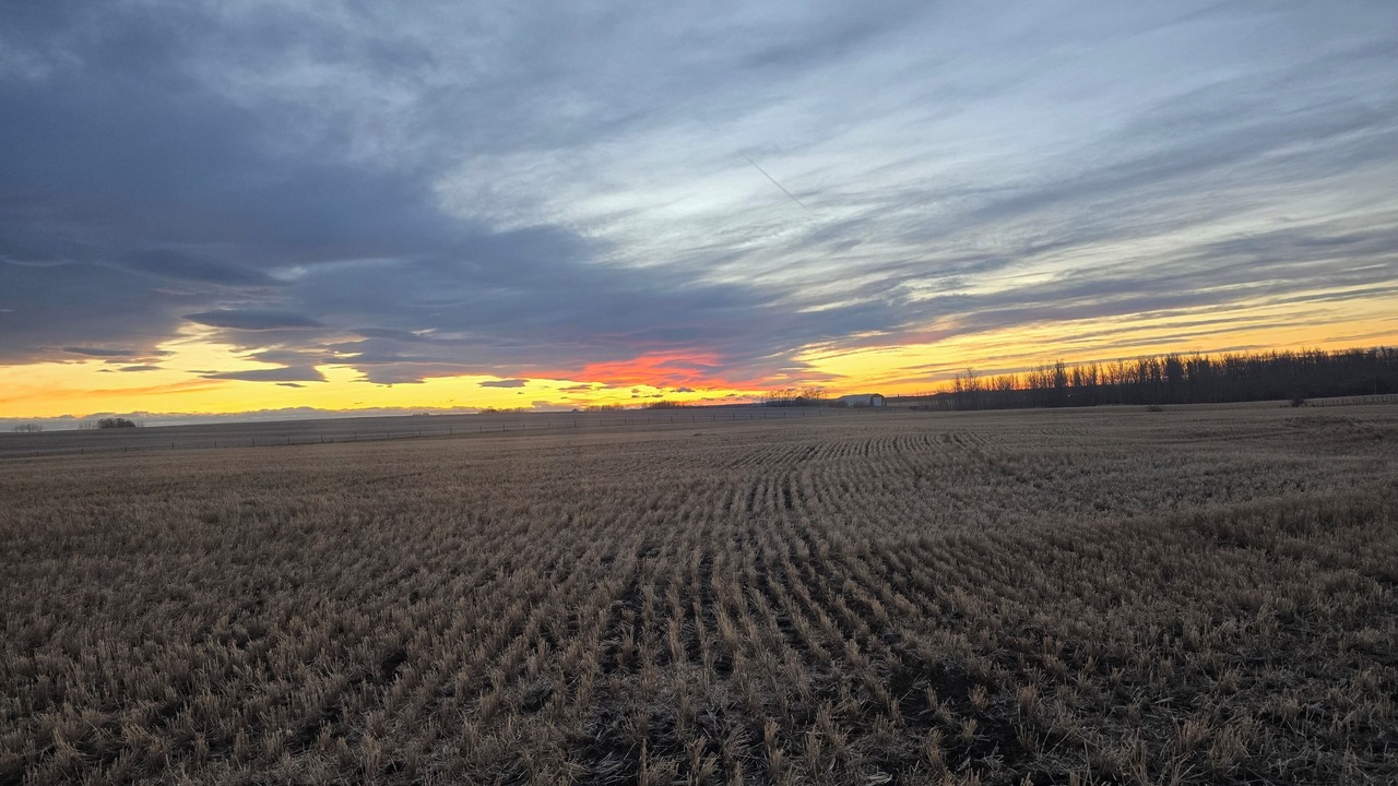 Photo of Others in Calgary-Edmonton Corridor
