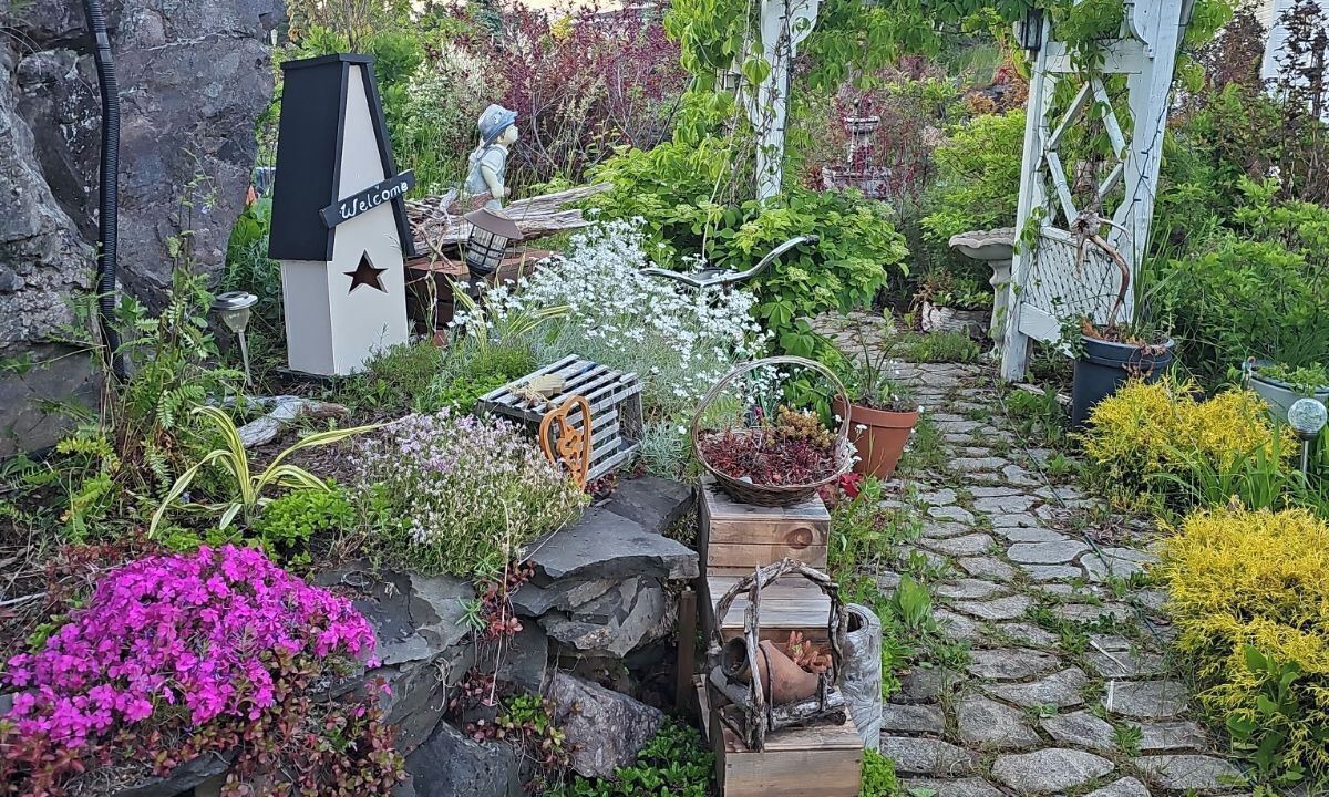 Photo of Outdoor in Grand Falls - Windsor
