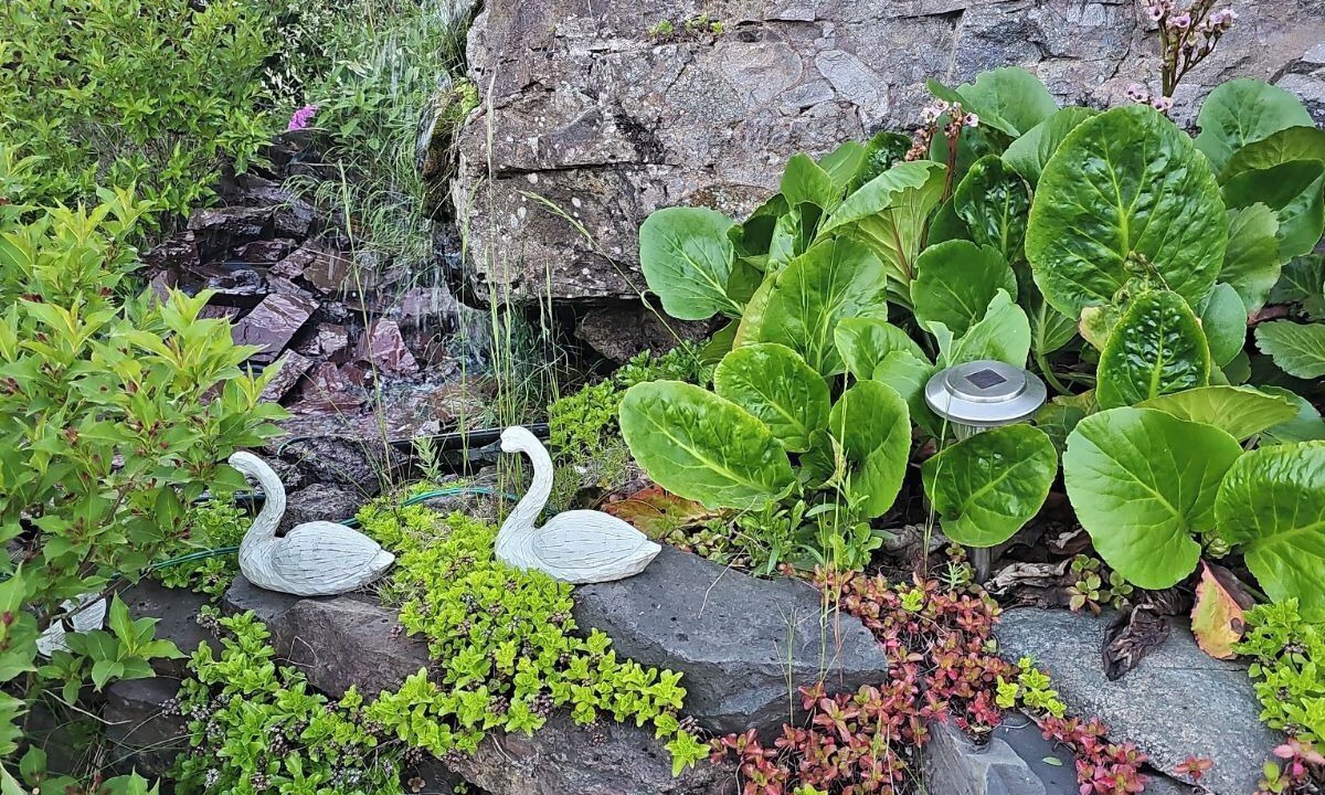 Photo of Outdoor in Grand Falls - Windsor