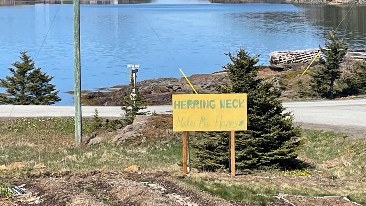 Photo of Others in Salt Harbour