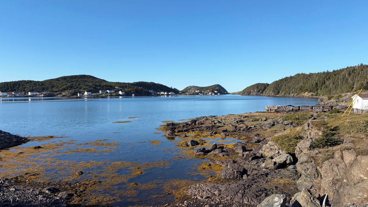 Photo of Others in Salt Harbour