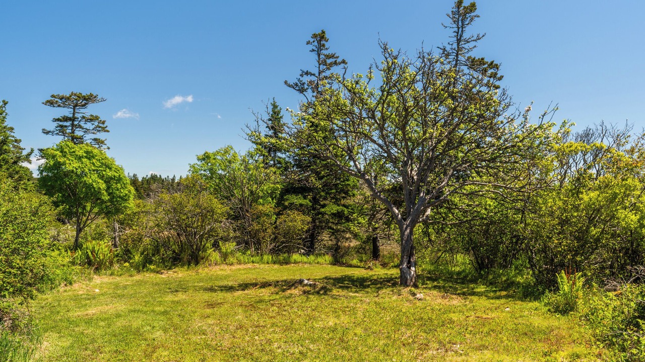 Photo of Others in Yarmouth County