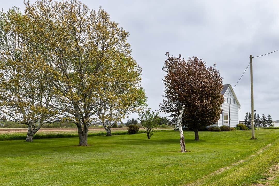 Photo of Outdoor in Grand River