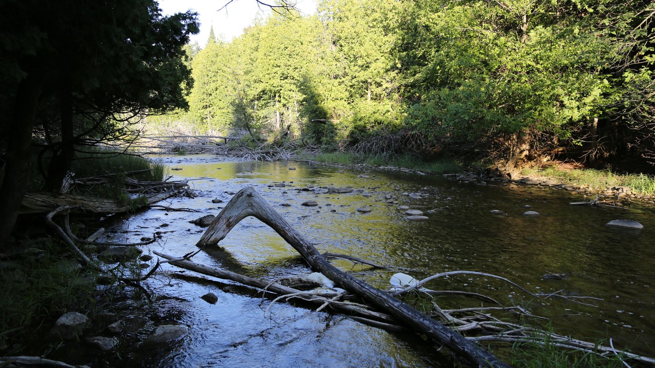 Photo of Others in Markdale