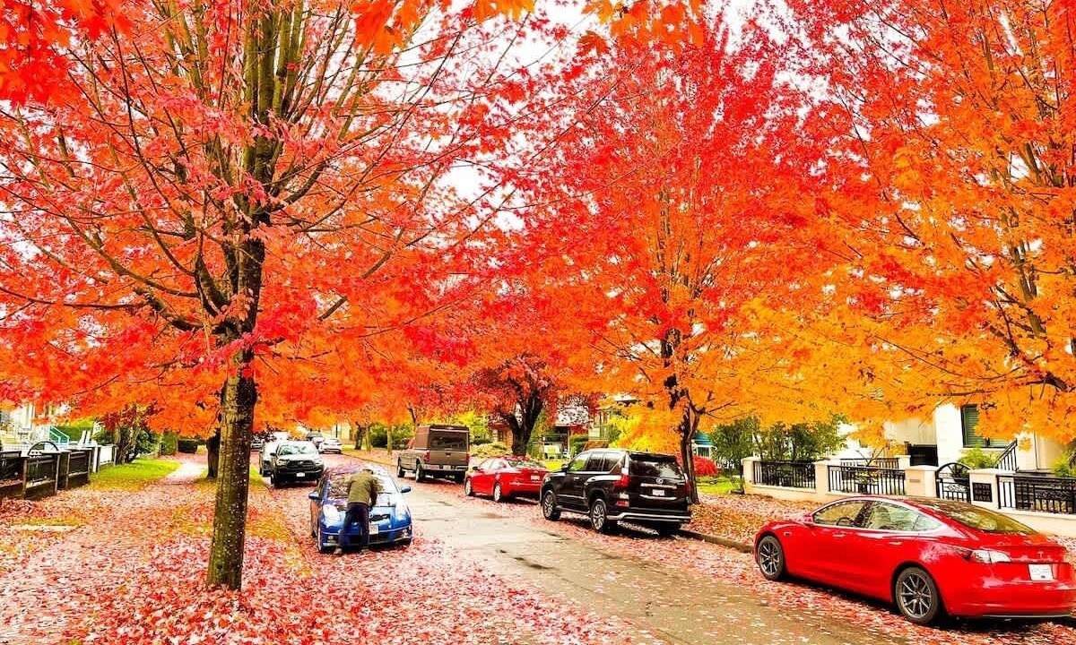 Photo of Others in Renfrew-Collingwood