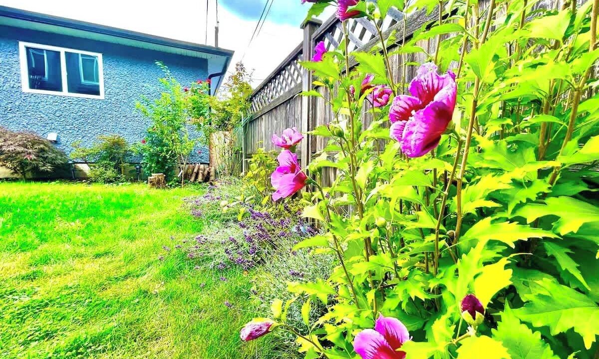 Photo of Outdoor in Renfrew-Collingwood