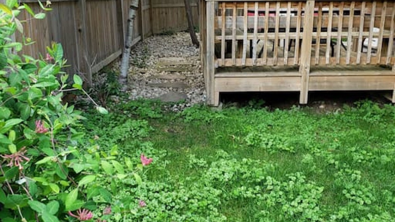 Photo of Outdoor in Waterloo