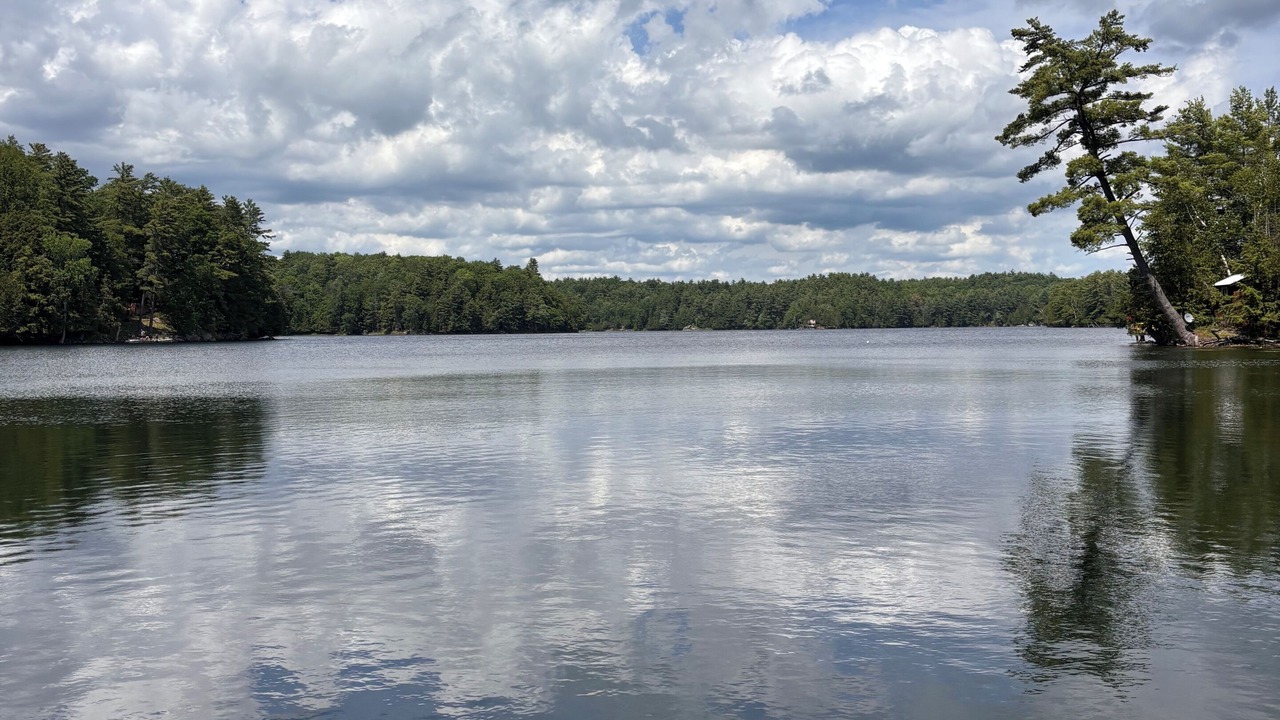 Photo of Others in Frontenac