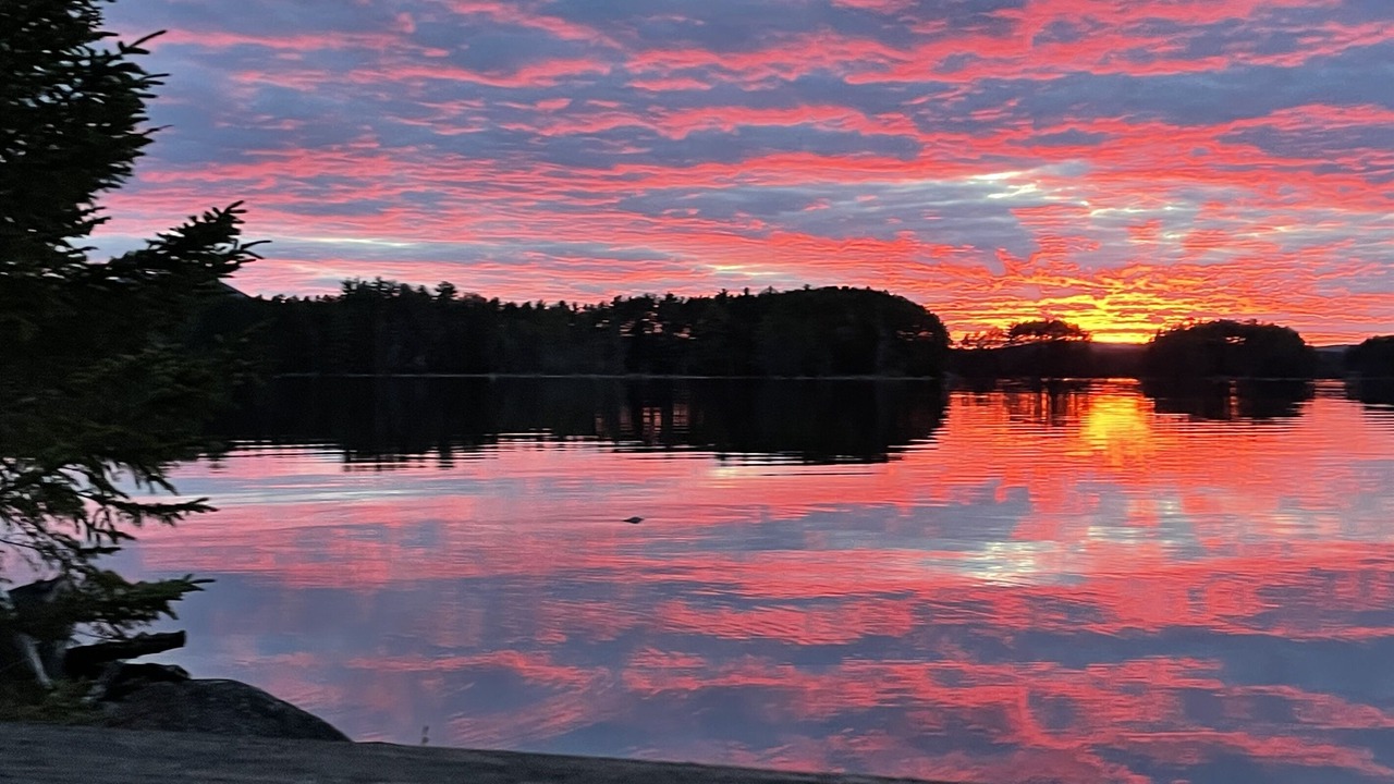 Photo of Others in North Penobscot