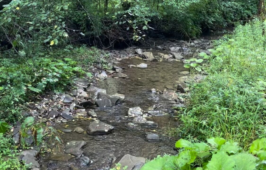 Photo of Outdoor in Ellicottville