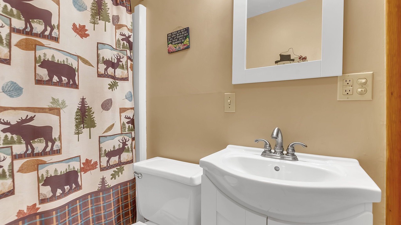 Photo of Bathroom in Ellicottville