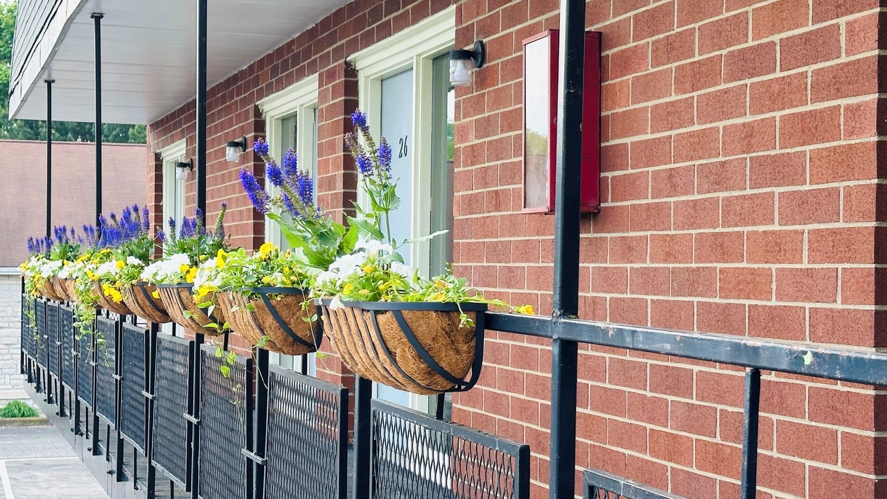 Photo of Patio Balcony in Sandusky