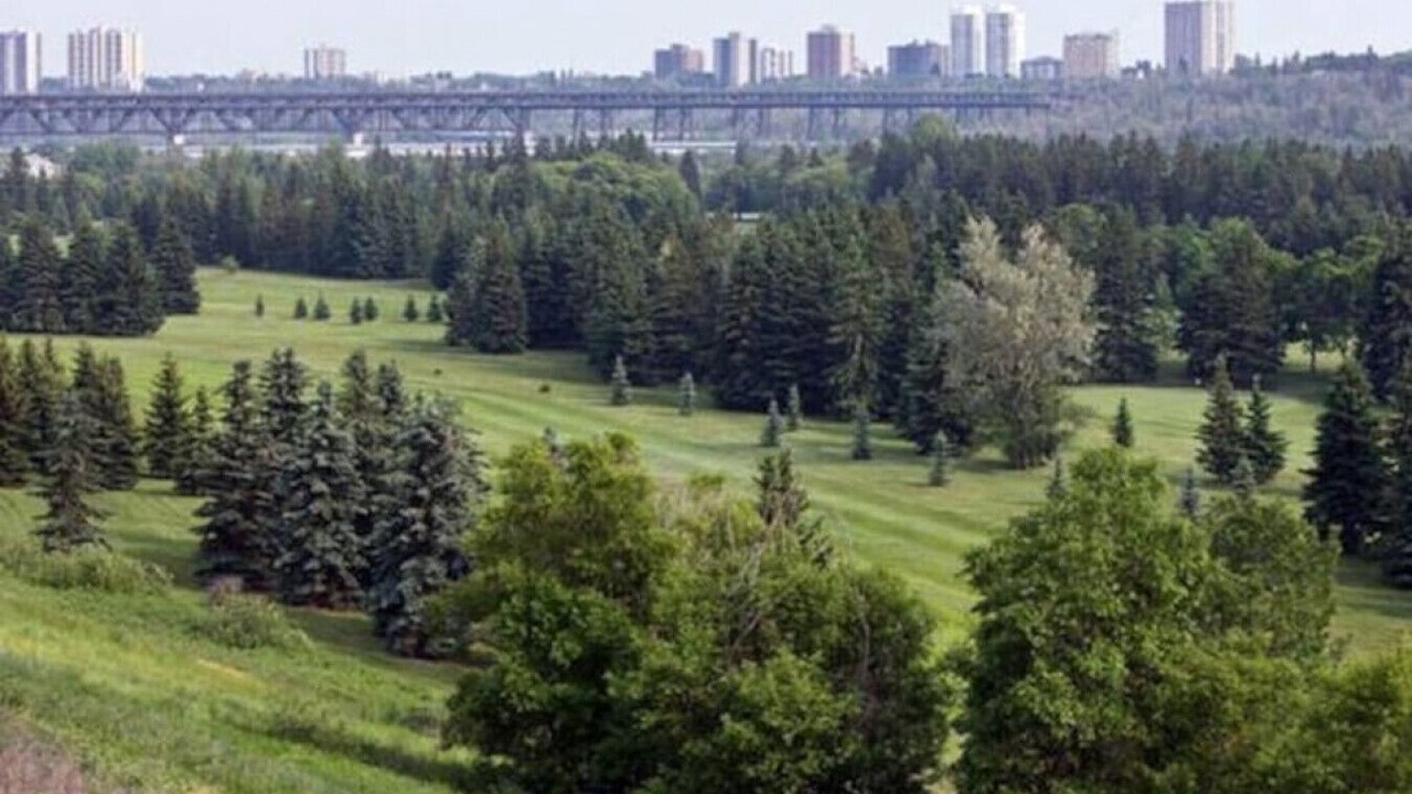 Photo of Others in North Central Edmonton
