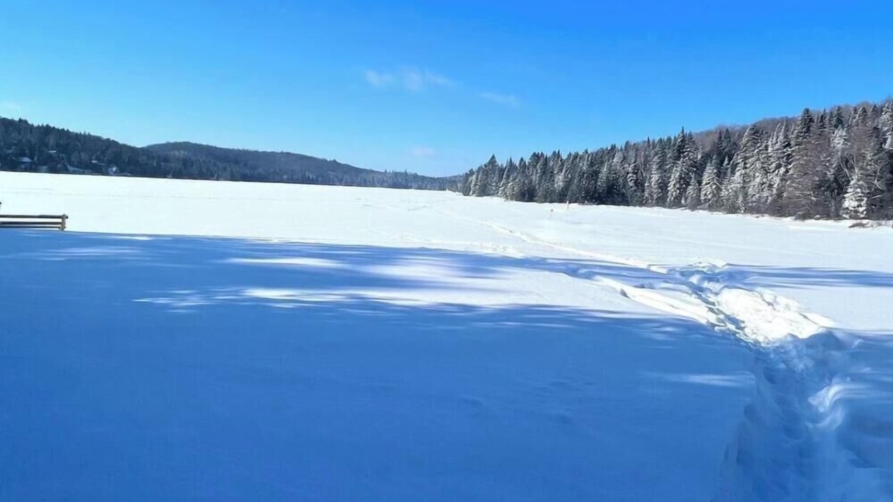Photo of Others in Sainte-Lucie-des-Laurentides