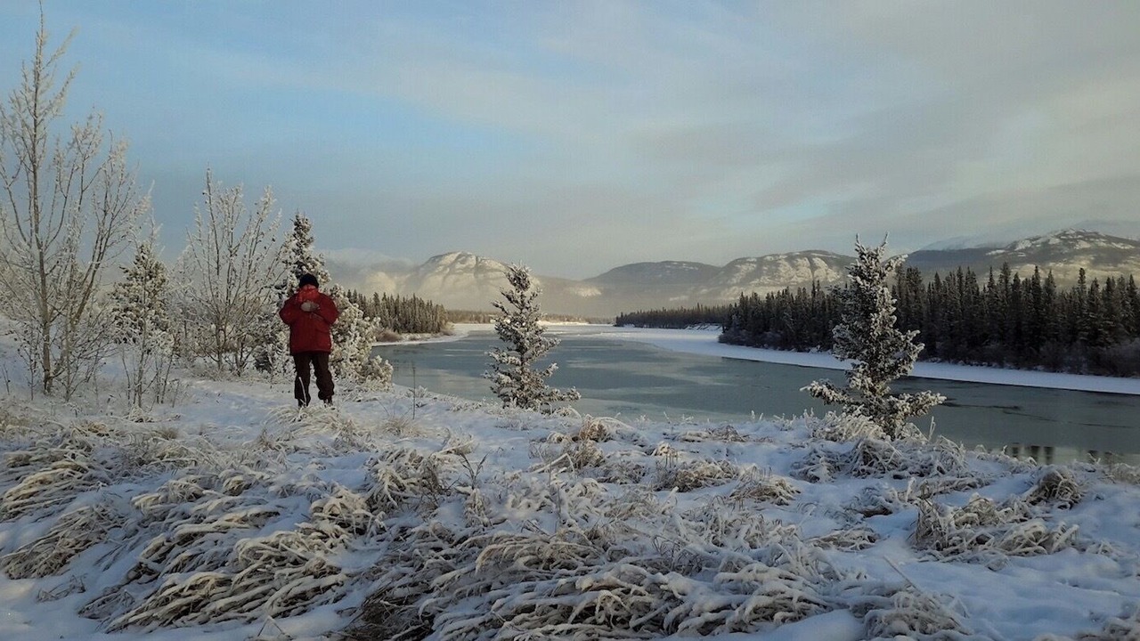 Photo of Others in Whitehorse