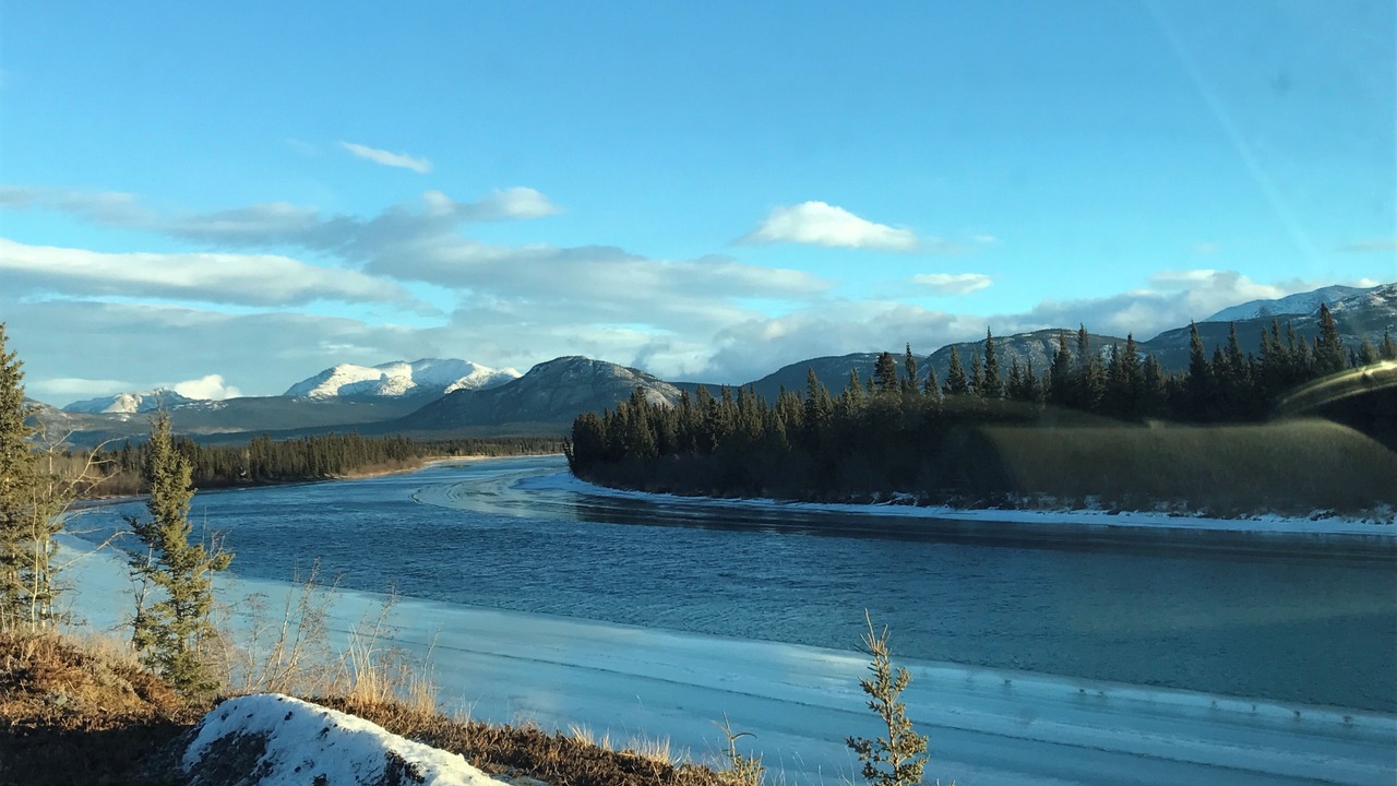 Photo of Others in Whitehorse