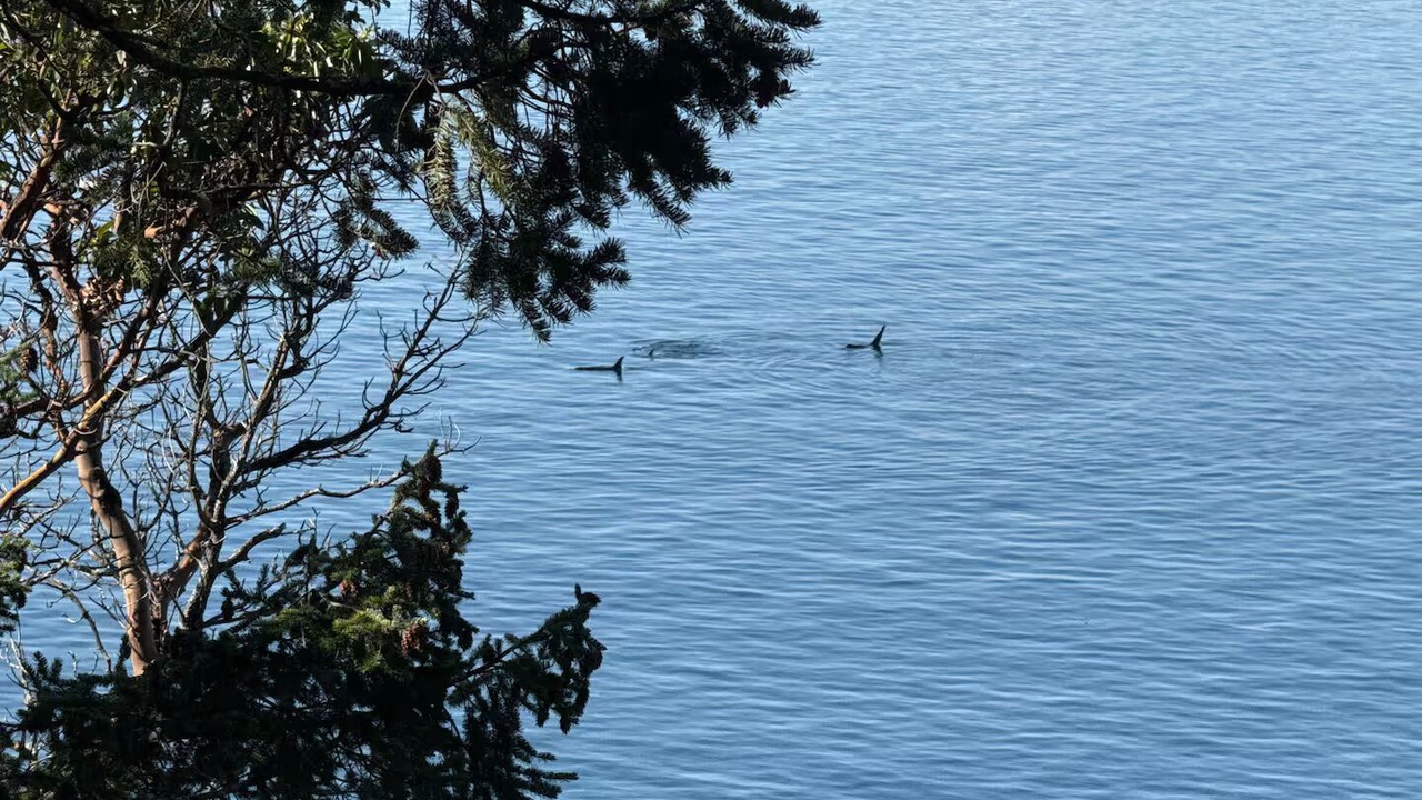 Photo of Others in Pender Island