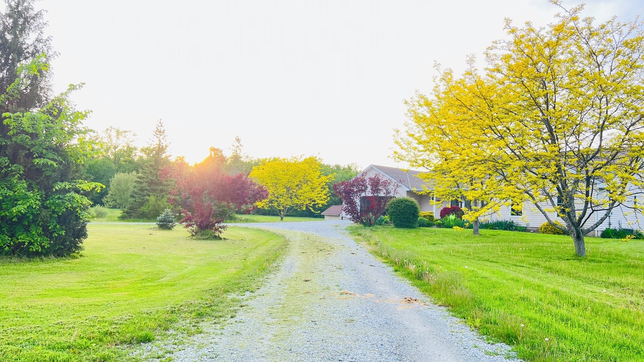 Photo of Outdoor in Port Colborne