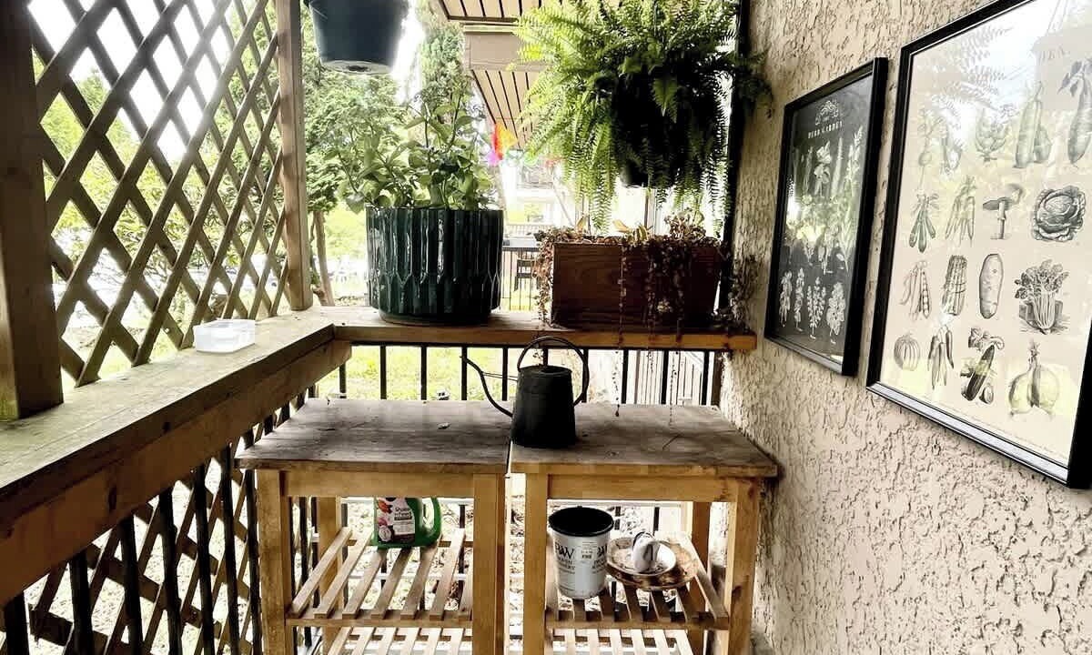 Photo of Outdoor in Mount Pleasant