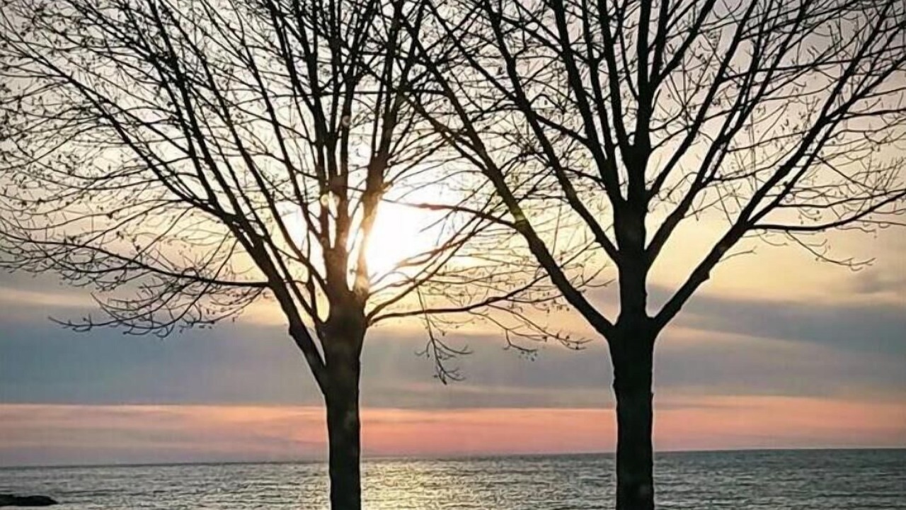 Photo of Others in Willobee On The Lake