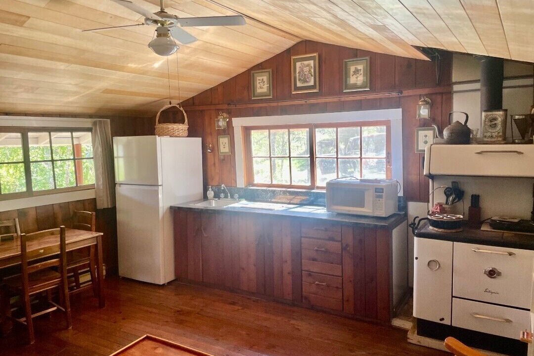 Photo of Kitchen in Kaslo