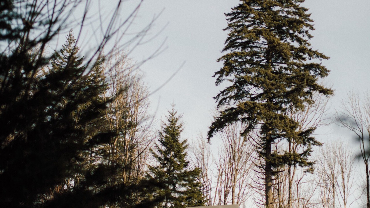 Photo of Outdoor in Squamish