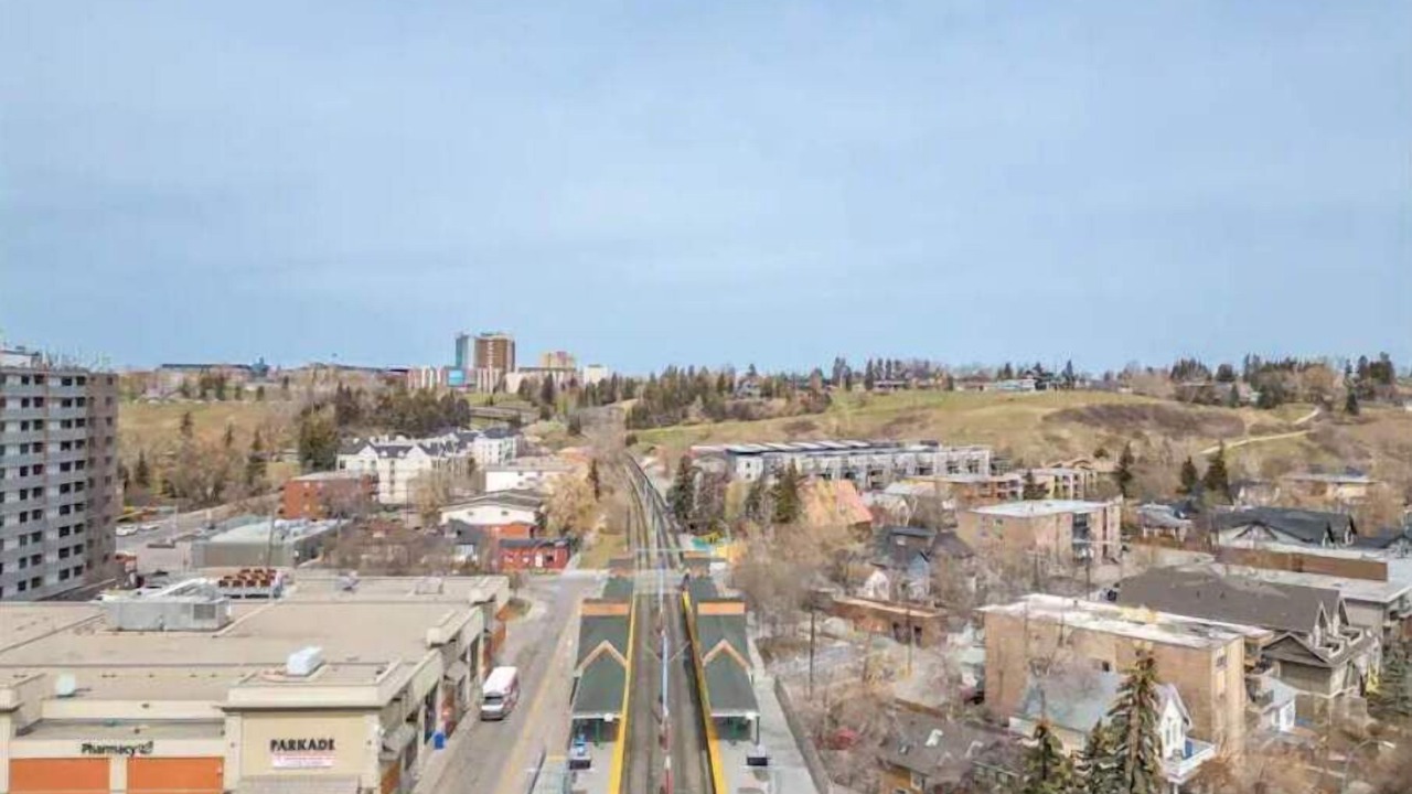 Photo of Others in Sunnyside