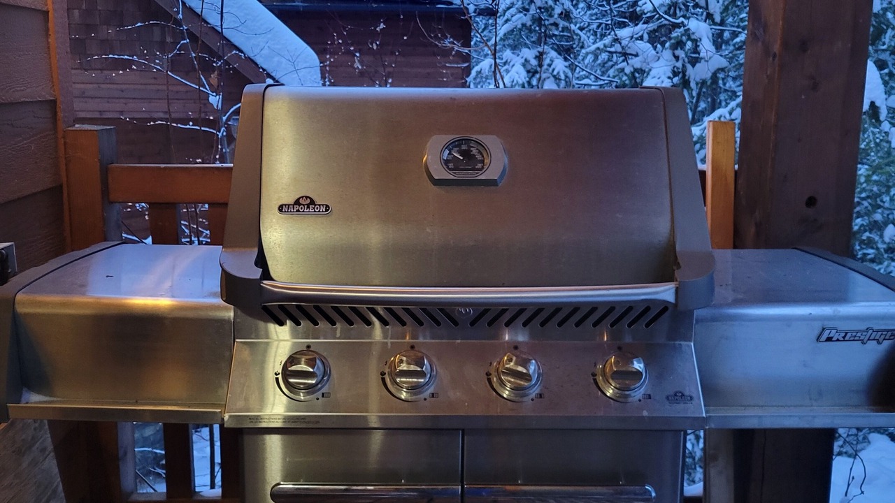 Photo of Outdoor in Golden
