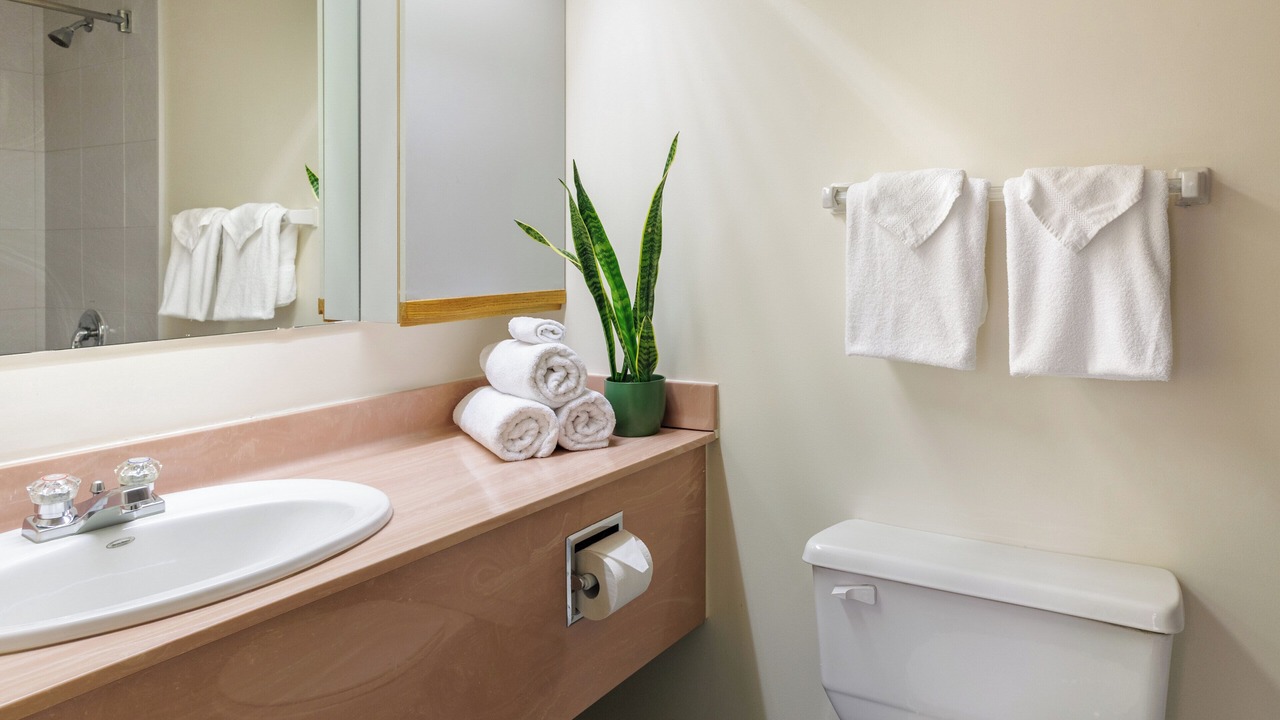 Photo of Bathroom in Golden Triangle