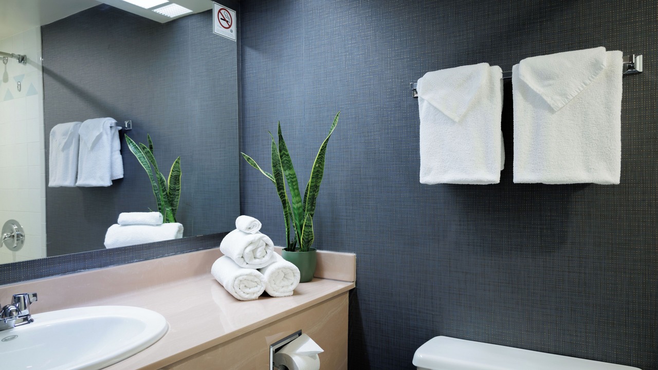 Photo of Bathroom in Golden Triangle