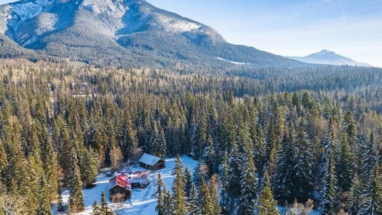 Photo of Outdoor in Golden