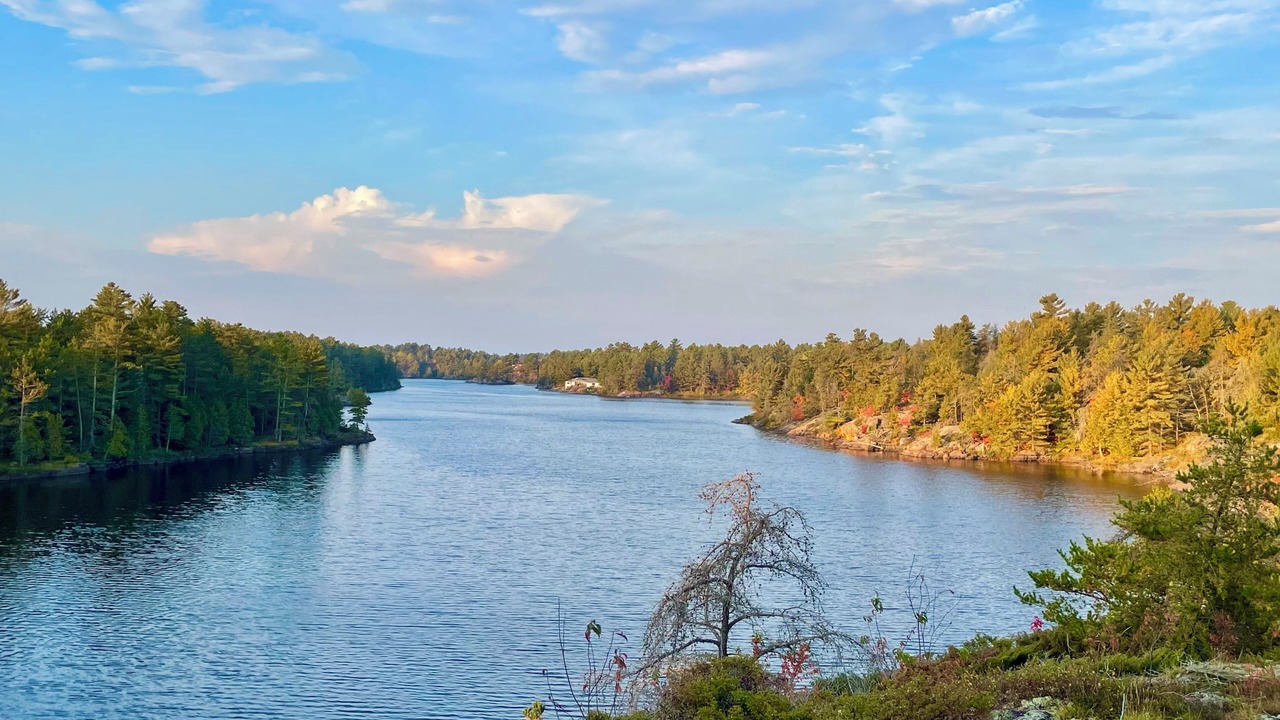 Photo of Others in Byng Inlet