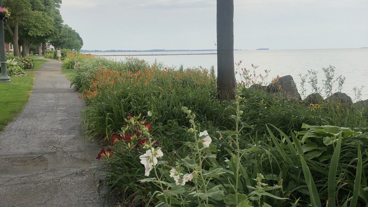 Photo of Outdoor in Lakeside
