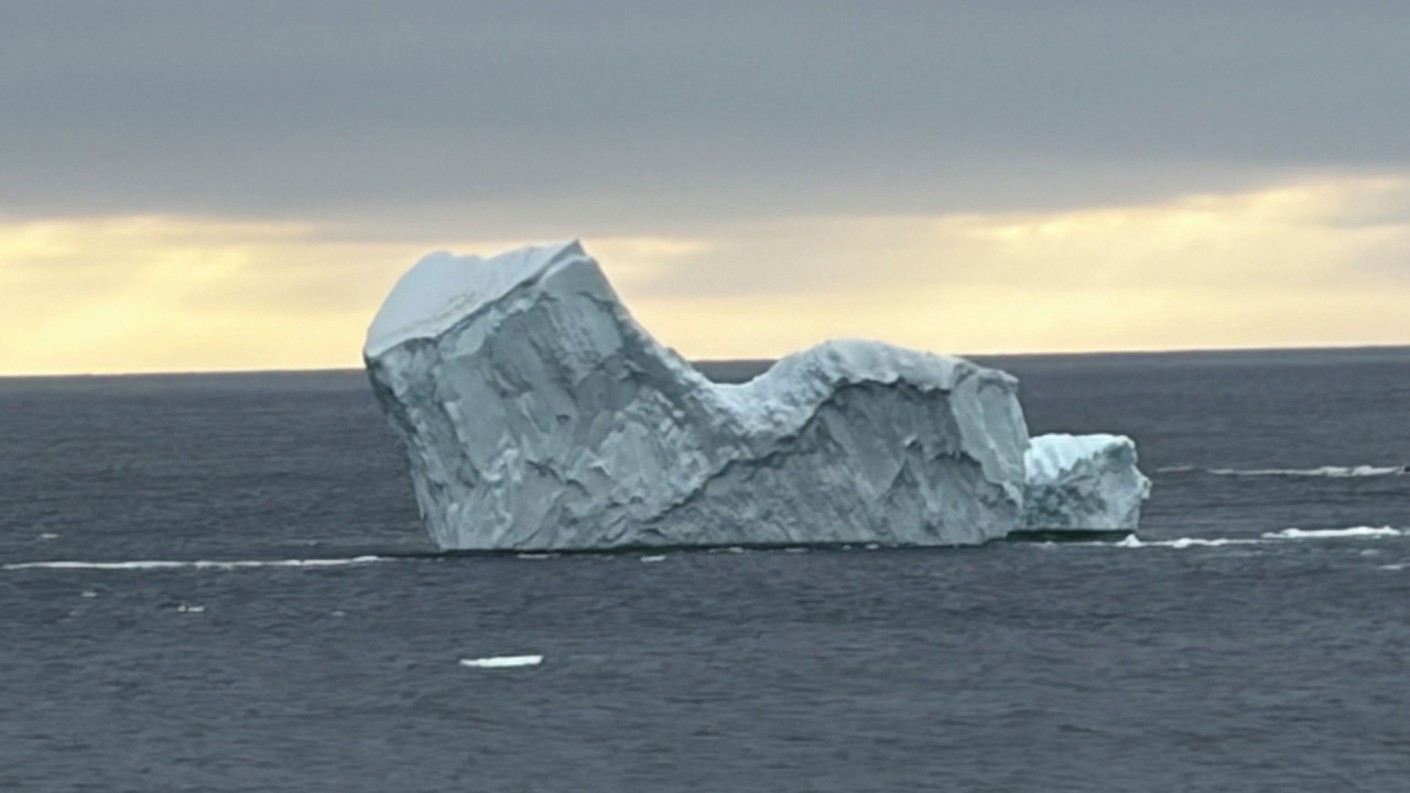 Photo of Others in Twillingate