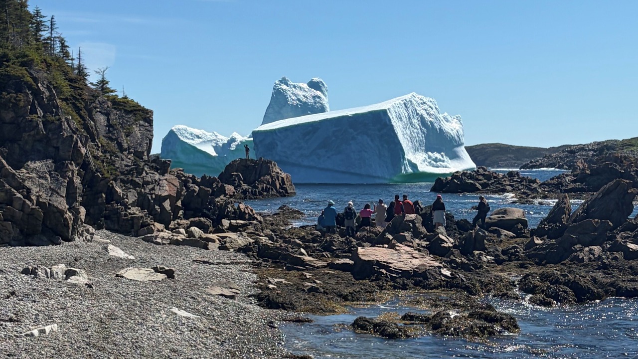 Photo of Others in Twillingate