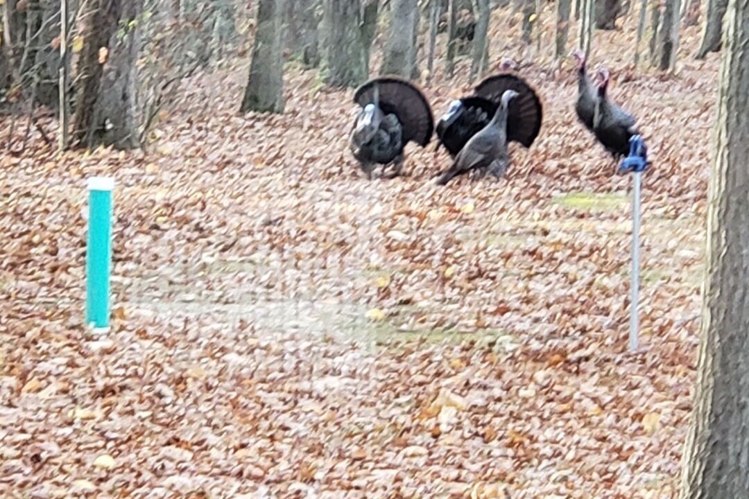 Photo of Others in Erie County