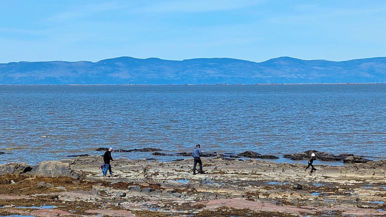 Photo of Others in Cap-Saint-Ignace