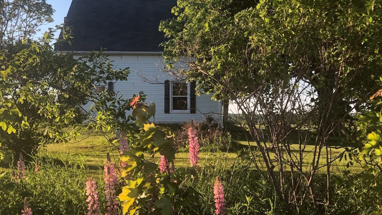 Photo of Outdoor in Richmond
