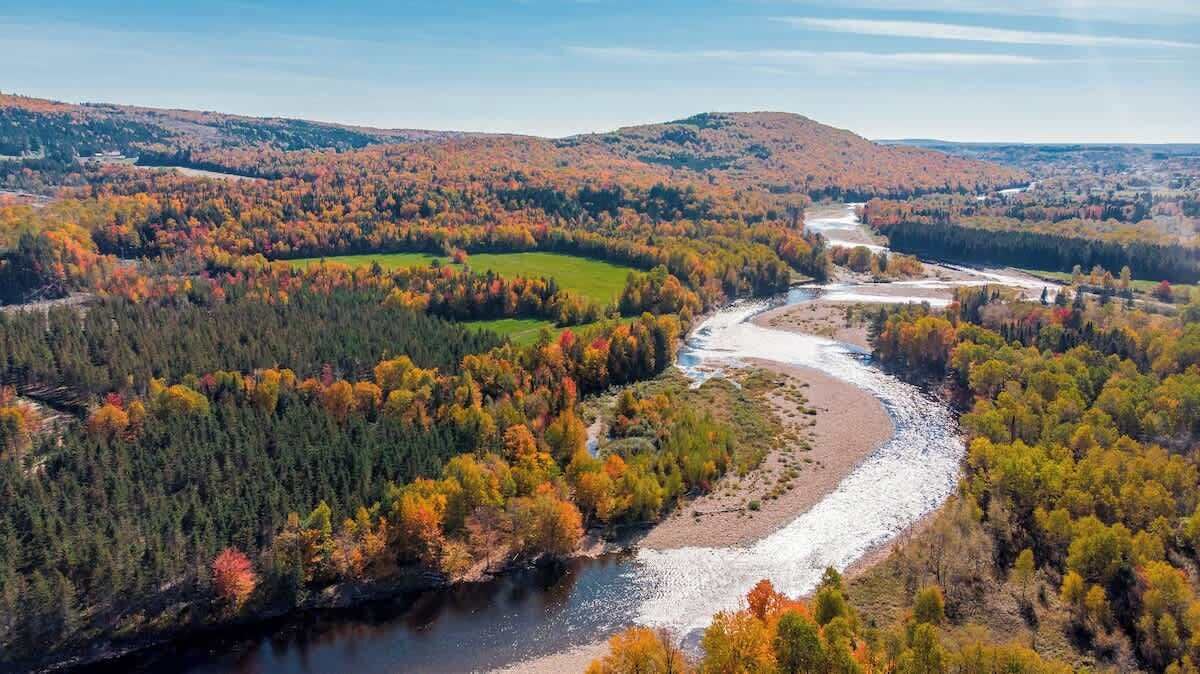 Photo of Others in Saint-Raymond