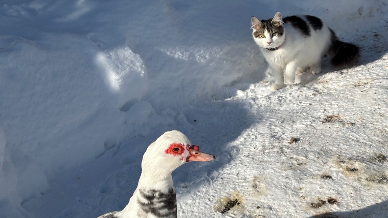Photo of Others in Annapolis County