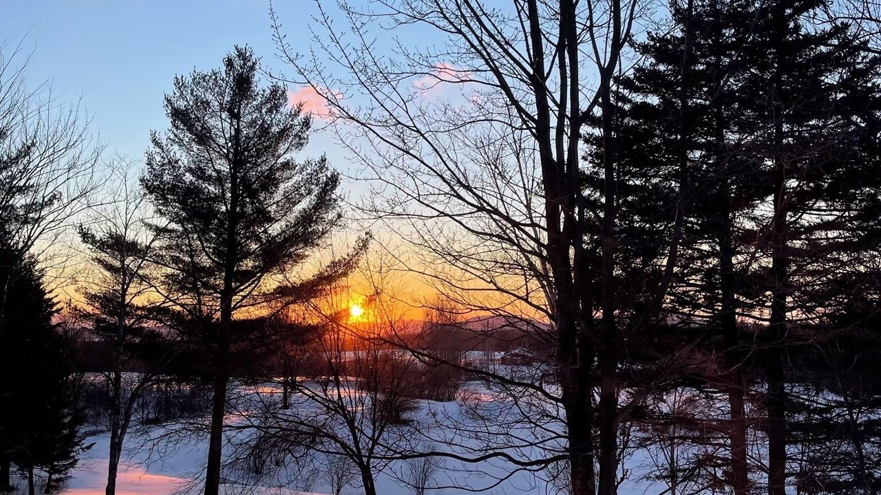 Photo of Others in Bolton-Ouest